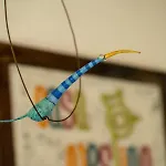 Casa Vespina Biologico Orvieto