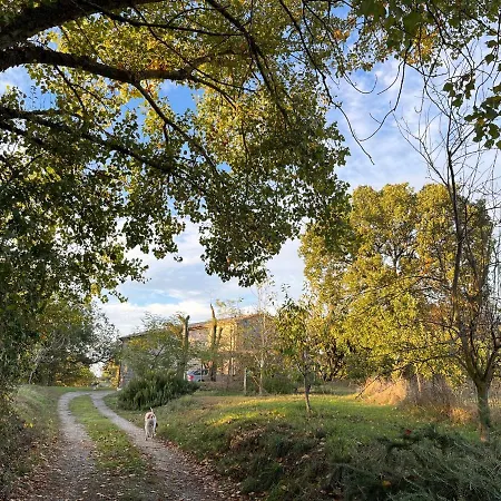 Casa Vespina Biologico Κατάλυμα σε φάρμα *